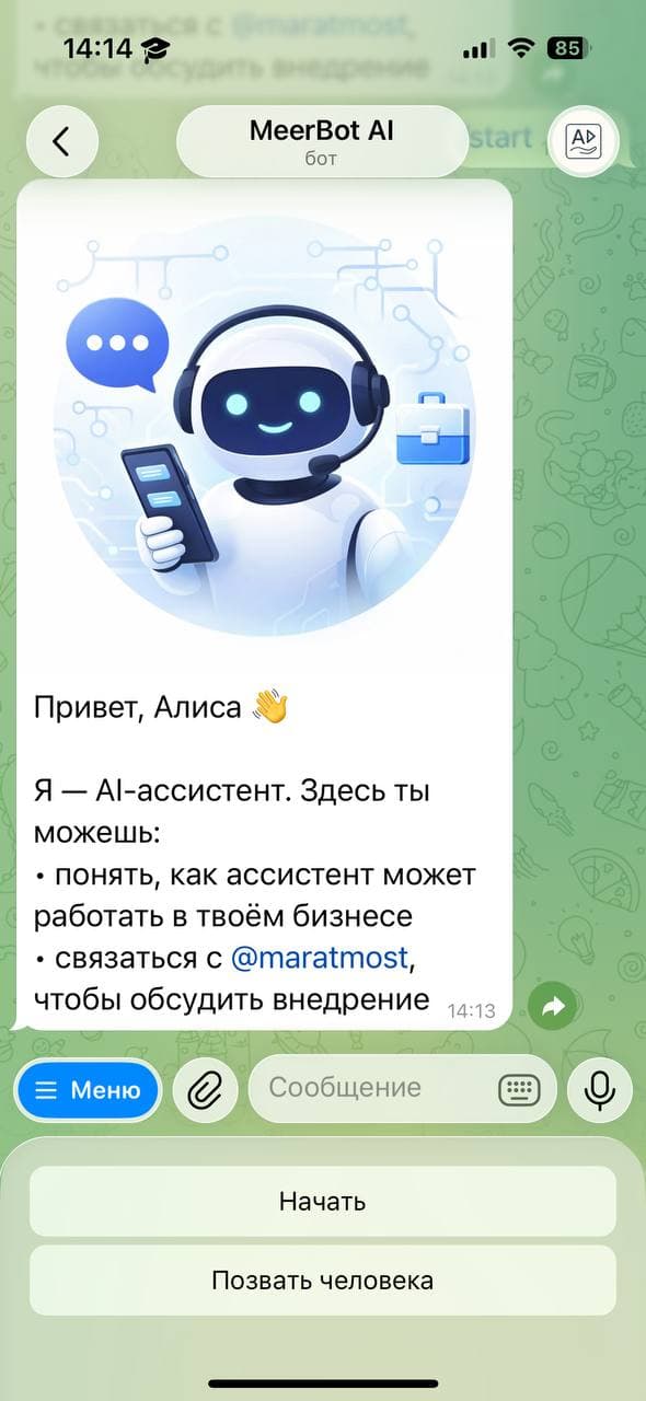 MeerBot bot screenshot 1