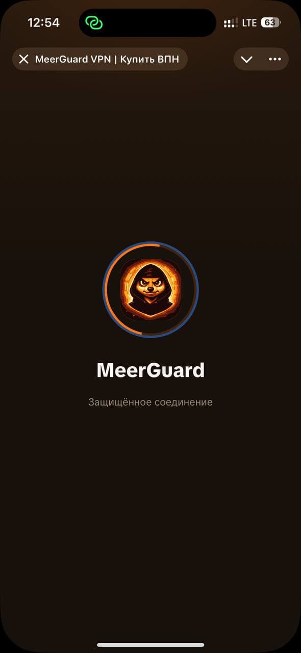 MeerGuard VPN miniApp 1