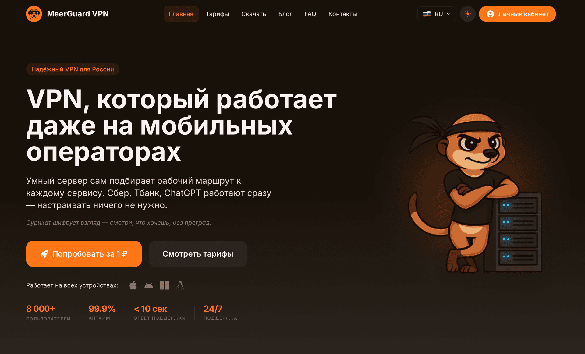 MeerGuard VPN website 1